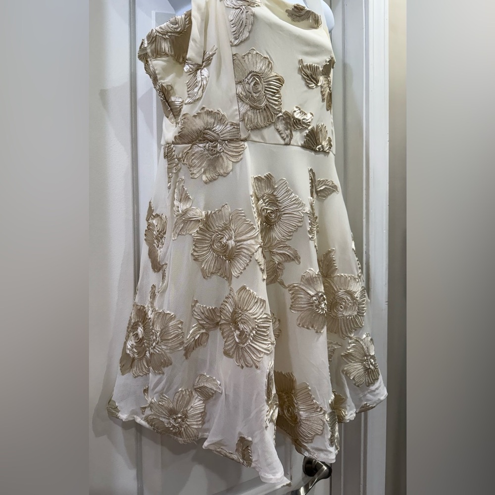🆕🆕 Lulus Truly Inspiring Ivory Mesh Floral Mini Dress Size XL Prom Wedding Party - Picture 3 of 16